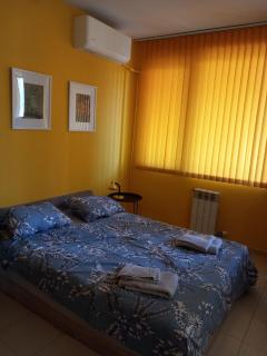 Snezhi's Cozy Studio - Sofia - 9