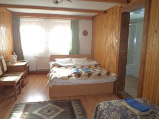 Guest House Grunyk - Jaremče - 3