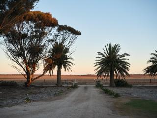 Forgo tten Paddock - 8