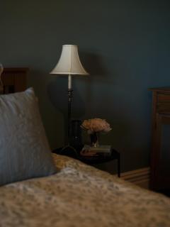 Forgo tten Paddock - 5