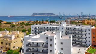NEW Guadalfaro - Algeciras - 0