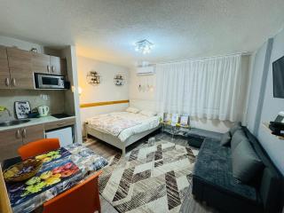 T&N Studio-Center-Free parking,AC,Train-Bus station - Sarajevo - 9