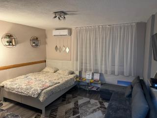 T&N Studio-Center-Free parking,AC,Train-Bus station - Sarajevo - 4