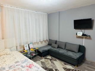 T&N Studio-Center-Free parking,AC,Train-Bus station - Sarajevo - 6