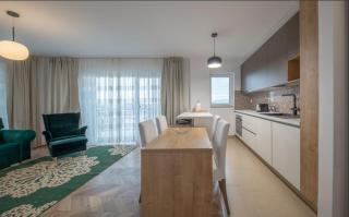 RBC Apartments with City View and parking - Cluj-Napoca - 6