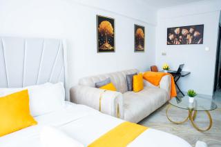 Elegant Studio Kilimani - Nairobi - 8