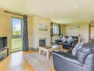 Bluebell Lodge - Holsworthy - 8