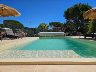 Bambou - Plan-de-la-Tour - 7