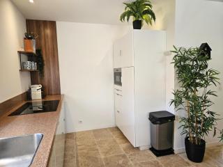 Bambou - Plan-de-la-Tour - 3