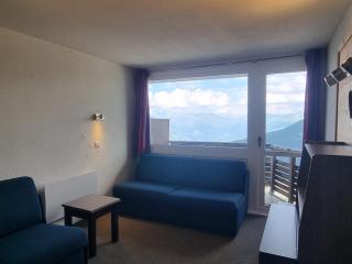 Studio cabine confortable - Accès pistes, animaux admis - FR-1-181-2712 - Aime-la-Plagne - 0