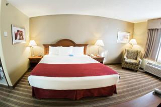 Quality Inn - Athens - 5