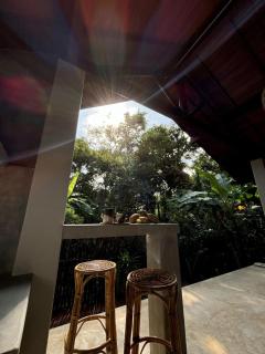 Jungle Cottage - Tangalle - 8