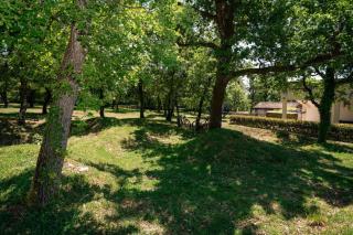 Bella Vista Poletti - Markovac - 7