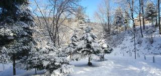 Відпочинково- оздоровчий комплекс ОПАКА з форельником - 7