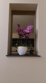 Domaine du Saugé - 3