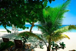 AYURVEDA RESORT - Negril - 0