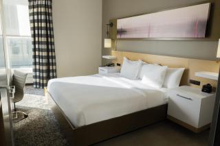 Hotel Napoleon Memphis - Memphis - 2
