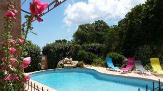 mini villa studio 1 pièce 21 m2 pour 2 personnes piscine partagée climatisation - Porto-Vecchio - 8