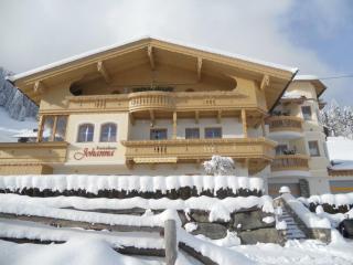 Ferienhaus Johanna in Mayrhofen-Hippach- Nähe der Skipiste - Hippach - 9