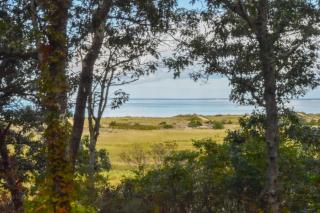 Walk to beach Secluded and private home and backyard - 7