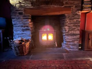 Furnace Cottage - Machynlleth - 4
