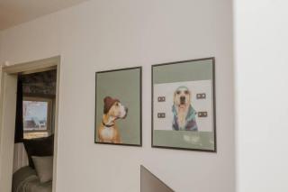 Walk to Cafe & Mall, One Mile to Dordt, Dog Theme - 9