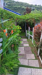 Le LiloVert - Studio 24 m2 - Le Carbet - 5