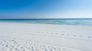 Ariel Dunes I Unit 301 - Destin - 7