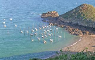 Holiday Home Plouha 10 - Plouha - 5