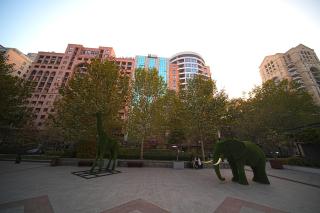 Superior apartments next to Seasons park by Sweet Home - 2