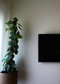 Bright Athens Studio - 4