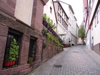 Ferienwohnungen Calwer Höfle Biergasse - für Firmen, Handwerker und Monteure - Calw - 4