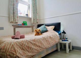 Comfy 1Bed Pod of Kings Cross - Londra - 0