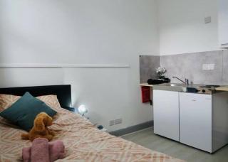Comfy 1Bed Pod of Kings Cross - Londra - 2