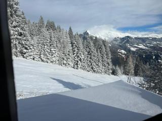 Bergpension Battagliahütte - Malix - 3