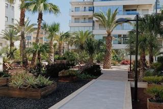 Luna Holiday Apartments - Orihuela Costa - 9