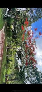 Casa Charme - Mulungu - 3
