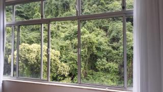 Vista verde em Botafogo - 6