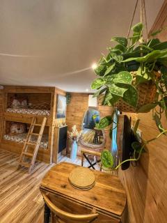 Essencia, gîte dans les collines de Toulon - Toulon - 1