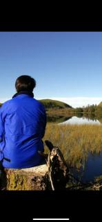 The Cabin Pipershill - 4