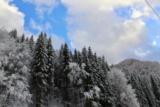 Cabana Laica, România - Petrila - 5