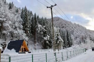 Cabana Laica, România - Petrila - 7