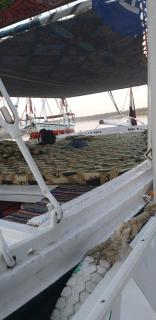 Mama Africa Felucca - 2