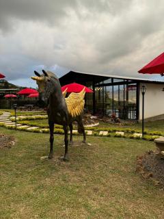 Ecohotel Sky Green Pereira - 1