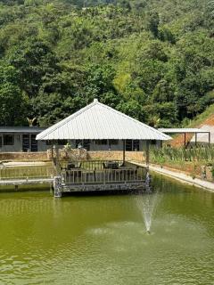 Ecohotel Sky Green Pereira - 5