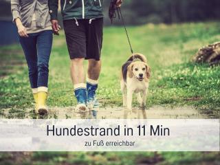 Fewo Kleines Nest strandnah optimal für Alleinreisende und Paare mit Haustier - 3