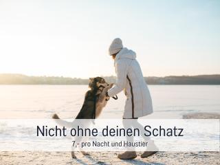 Fewo Kleines Nest strandnah optimal für Alleinreisende und Paare mit Haustier - 9