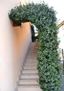 Alloggio La Pesa - Verona - 5