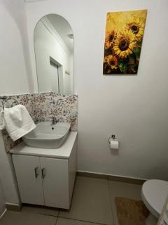 Stunning bachelor apartment in Hazel Park - 6