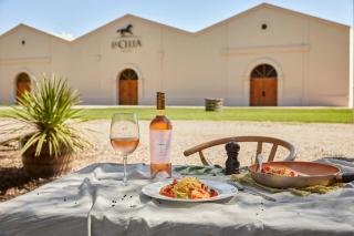 Posada La Celia - 0